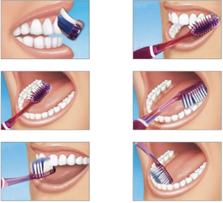 Dental hygiene tips guide